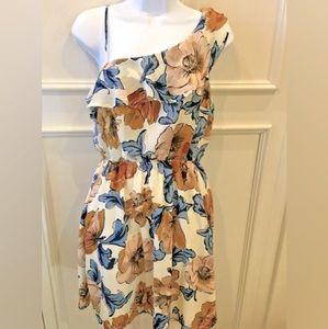 Mini Dress Ivory Blue Brown Floral Medium